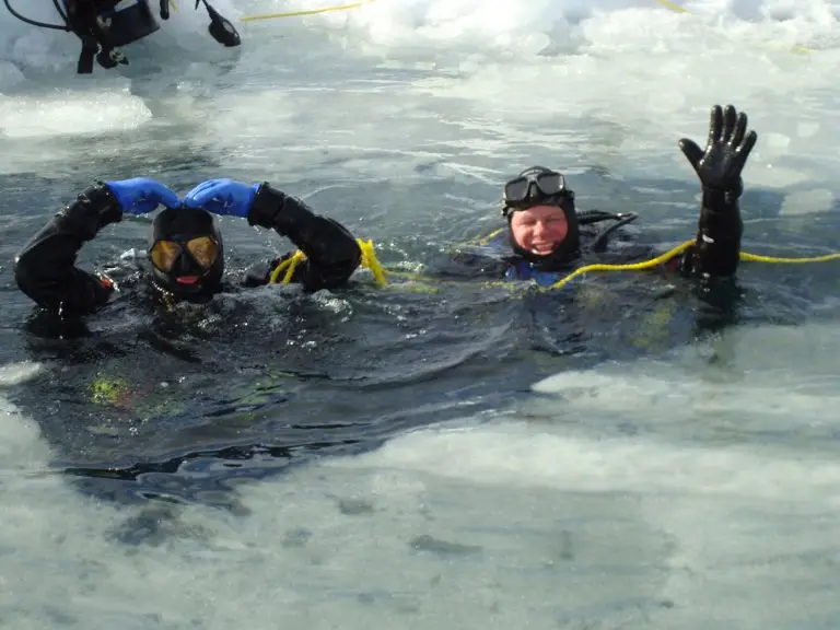 Ice Diver